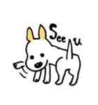 バセンジーミックス犬のボブ君（個別スタンプ：3）