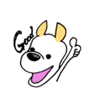バセンジーミックス犬のボブ君（個別スタンプ：5）