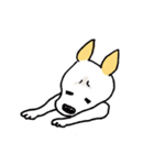 バセンジーミックス犬のボブ君（個別スタンプ：6）