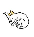 バセンジーミックス犬のボブ君（個別スタンプ：8）