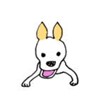 バセンジーミックス犬のボブ君（個別スタンプ：10）
