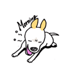 バセンジーミックス犬のボブ君（個別スタンプ：11）