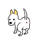 バセンジーミックス犬のボブ君（個別スタンプ：12）
