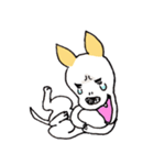 バセンジーミックス犬のボブ君（個別スタンプ：13）