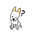 バセンジーミックス犬のボブ君（個別スタンプ：16）