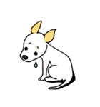 バセンジーミックス犬のボブ君（個別スタンプ：21）
