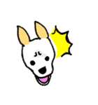 バセンジーミックス犬のボブ君（個別スタンプ：24）