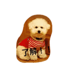 ソルト犬(ビションフリーゼ)（個別スタンプ：10）