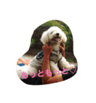 ソルト犬(ビションフリーゼ)（個別スタンプ：15）