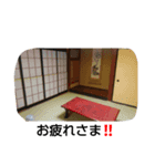 さだ（個別スタンプ：4）