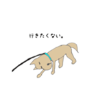 イヌのやつ（個別スタンプ：14）