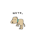 イヌのやつ（個別スタンプ：19）
