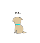 イヌのやつ（個別スタンプ：24）