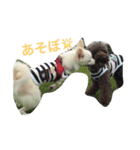 みかんとこむぎ（個別スタンプ：7）