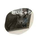 家庭におさまる飼い猫プーコの日常（個別スタンプ：2）