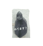 家庭におさまる飼い猫プーコの日常（個別スタンプ：4）