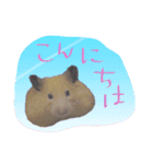 ハムスターのメッセージ（個別スタンプ：1）