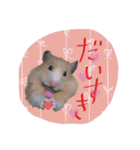 ハムスターのメッセージ（個別スタンプ：5）