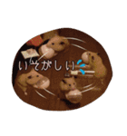 ハムスターのメッセージ（個別スタンプ：8）