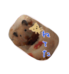 ハムスターのメッセージ（個別スタンプ：11）