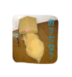 ハムスターのメッセージ（個別スタンプ：16）