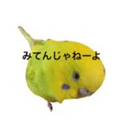 鳥 ぴゆうい（個別スタンプ：9）