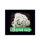 Emotion Cactus（個別スタンプ：1）