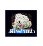 Emotion Cactus（個別スタンプ：2）