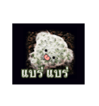 Emotion Cactus（個別スタンプ：3）