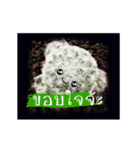 Emotion Cactus（個別スタンプ：5）