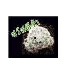 Emotion Cactus（個別スタンプ：6）