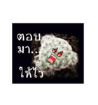 Emotion Cactus（個別スタンプ：7）