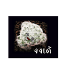 Emotion Cactus（個別スタンプ：11）