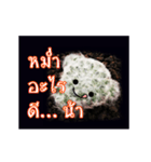 Emotion Cactus（個別スタンプ：12）