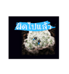Emotion Cactus（個別スタンプ：13）