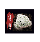 Emotion Cactus（個別スタンプ：14）