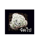 Emotion Cactus（個別スタンプ：15）