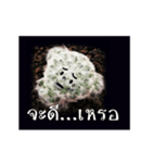Emotion Cactus（個別スタンプ：16）