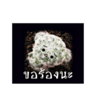 Emotion Cactus（個別スタンプ：17）