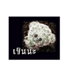 Emotion Cactus（個別スタンプ：19）