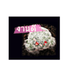 Emotion Cactus（個別スタンプ：22）