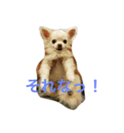 チワワふー＆キャバマルここ 第2弾（個別スタンプ：28）