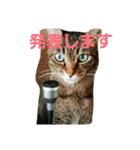 ロビちゃんず:D（個別スタンプ：2）