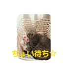 ロビちゃんず:D（個別スタンプ：6）
