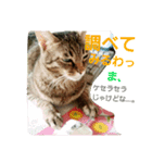 ロビちゃんず:D（個別スタンプ：8）