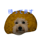 ゴーゴーDog（個別スタンプ：1）