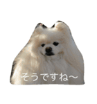 ゴーゴーDog（個別スタンプ：7）