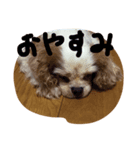 らんみう（個別スタンプ：3）