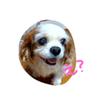 らんみう（個別スタンプ：6）