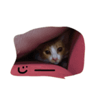 らんみう（個別スタンプ：7）